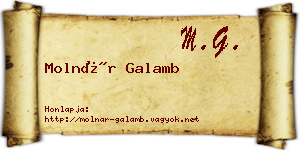 Molnár Galamb névjegykártya